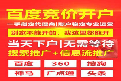 落地页在SEM优化中的重要性及成功案例